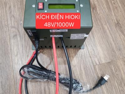 Kích điện Inverter Sin chuẩn 48V/1000W